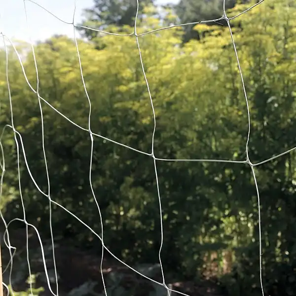 filet bio compostable ok  filet bio compostable ok